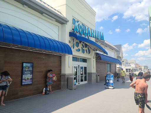 Tourist Attraction «Point pleasant beach», reviews and photos, 18 Trenton Ave, Point Pleasant Beach, NJ 08742, USA