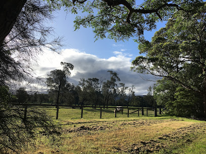 Macquarie Rivulet Trail