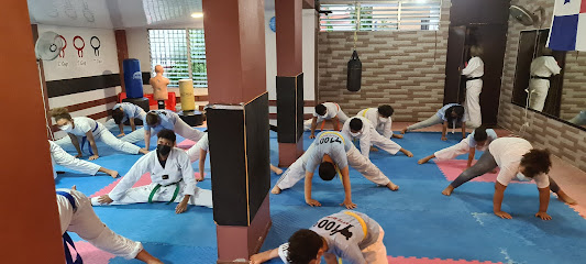 Academia de Taekwondo Carmelina Morello - Av. de la Paz, Ubicación Panacasa, Casa C° C6, Villa Cáceres, Av. 12E Nte., Panamá, Panama