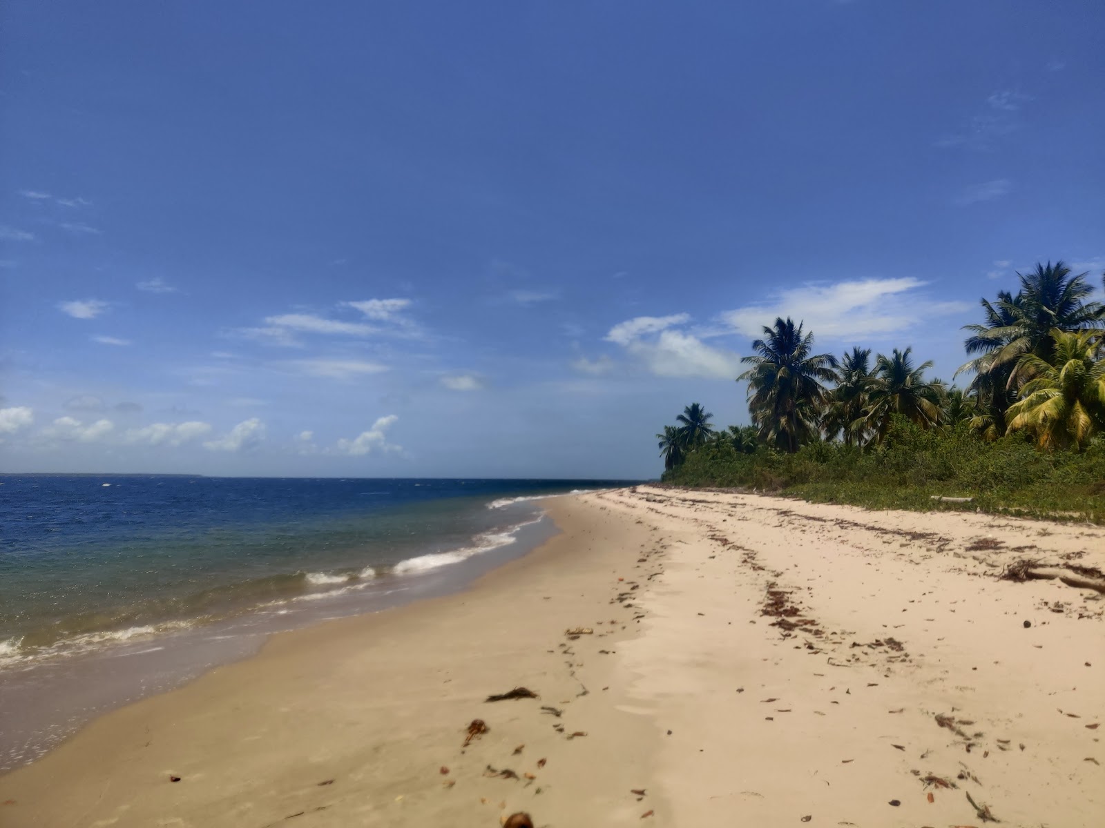Foto de Ilha do Goio Beach con arena fina beige superficie