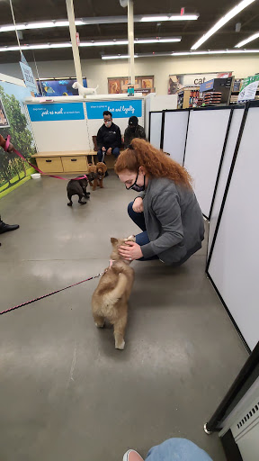 Pet Supply Store «Petco Animal Supplies», reviews and photos, 110 Percival Rd, Columbia, SC 29206, USA