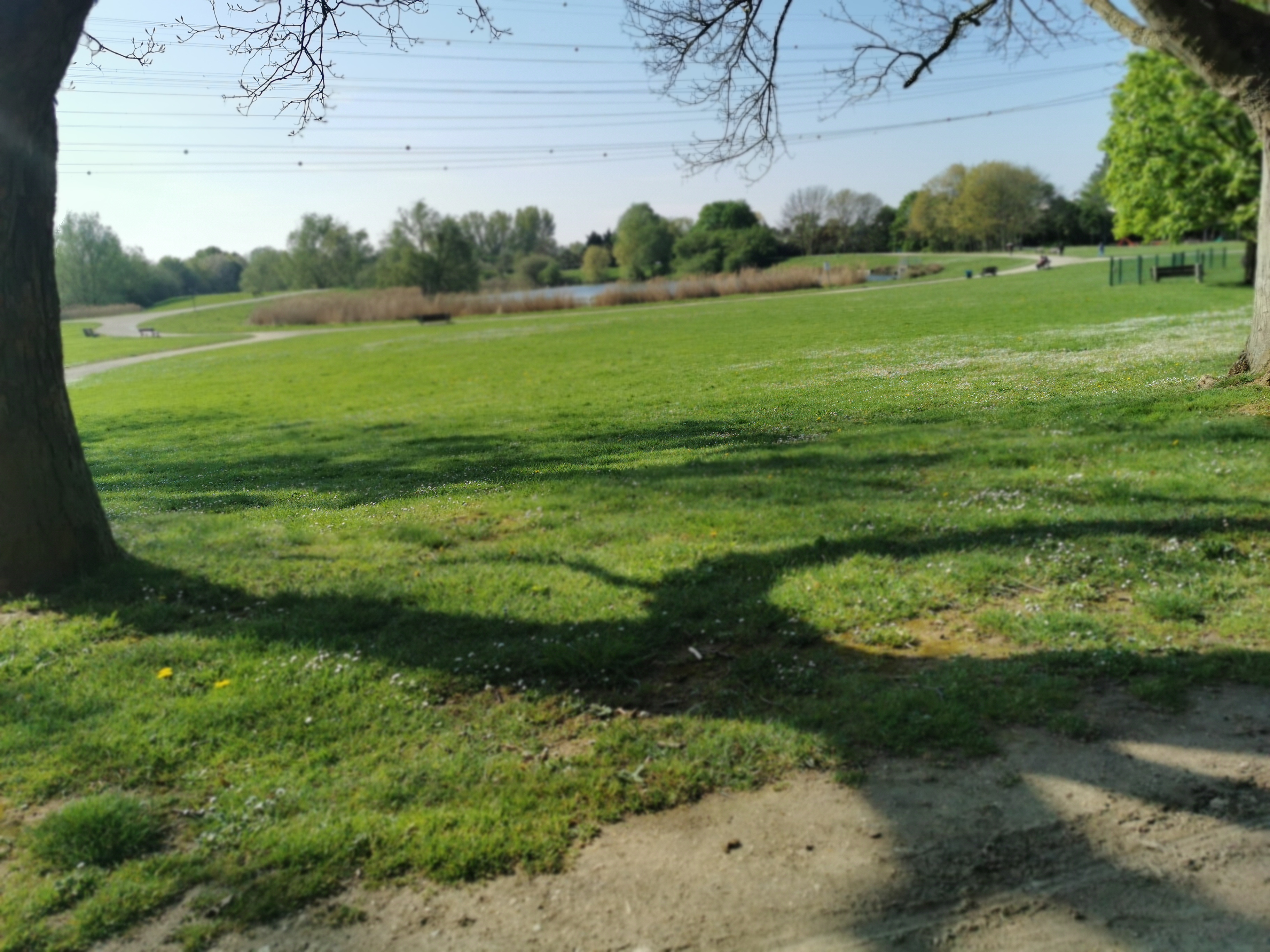 Photo n° 23 de l'avis de Fokop.i fait le 17/04/2022 à 14:37