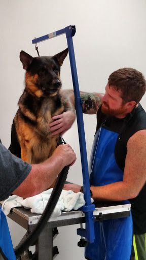 Pet Supply Store «Healthy Pet Center», reviews and photos, 775 New Loudon Rd, Latham, NY 12110, USA