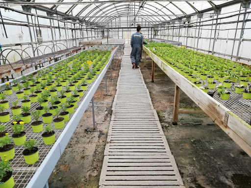 Escola Agrària d'Amposta, Escuela vocacional en Amposta,Tarragona
