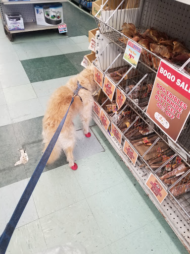 Pet Supply Store «Petland Discounts - Flatbush Ave.», reviews and photos, 968 Flatbush Ave, Brooklyn, NY 11226, USA