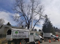 Richis Tree Service, LLC - Photo 5 - Car repair in , Centennial
