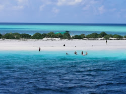 Sand bank Maafushi'in fotoğrafı doğal alan içinde bulunmaktadır