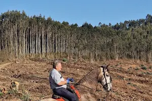 Rutas a caballo image