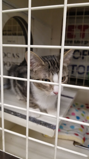 Pet Supply Store «Petco Animal Supplies», reviews and photos, 450 N Rte 17, Paramus, NJ 07652, USA