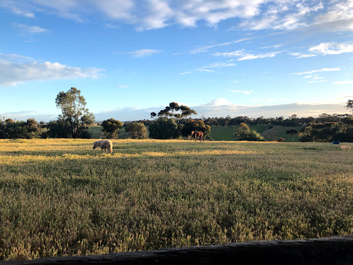 Arundel Farm Estate