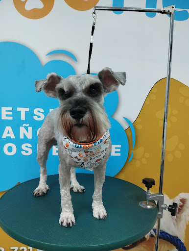 Woofie Spa & Hospedaje para mascotas