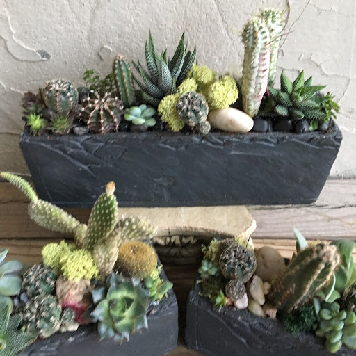 Wholesale Florist «Urban Jungle», reviews and photos, 2603 Sherman Ave NW, Washington, DC 20001, USA