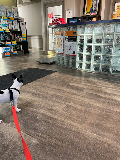 VCA Canada Westside Animal Hospital image