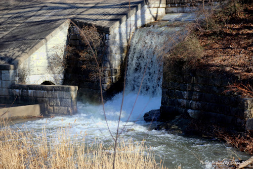 Nature Preserve «Lake Roland Nature Council», reviews and photos, 1000 Lakeside Dr, Baltimore, MD 21210, USA