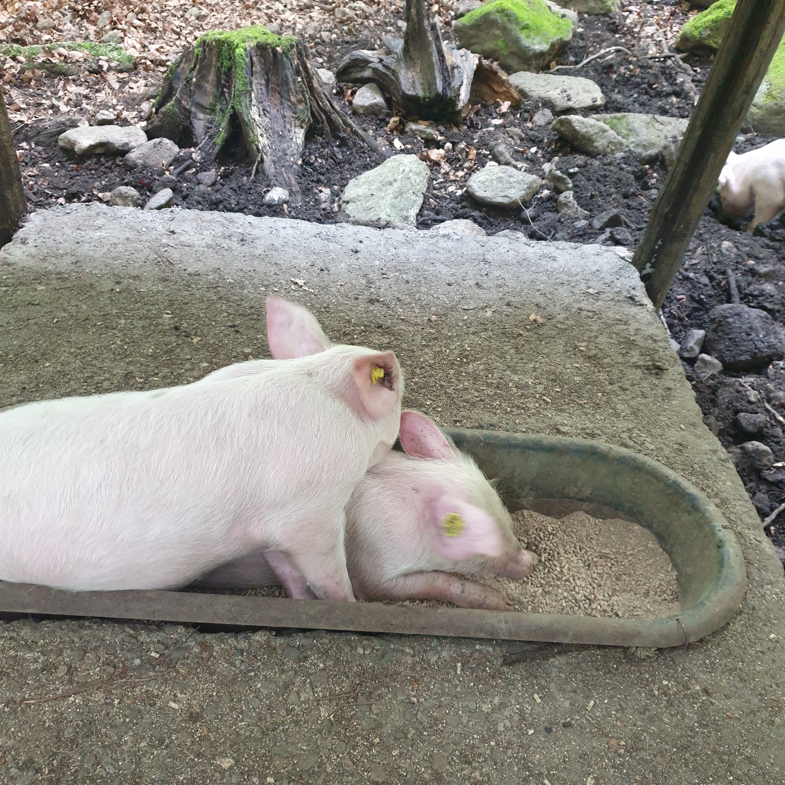 Photo n° 10 de l'avis de Manon.R fait le 17/10/2022 à 07:25