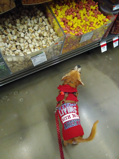 Pet Supply Store «Pet Supplies Plus», reviews and photos, 12579 Felch St, Holland, MI 49424, USA