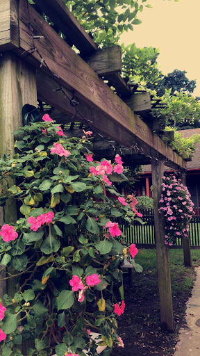 Farm «B & B Flower Farm», reviews and photos, 668 Jones Hill Rd, West Haven, CT 06516, USA