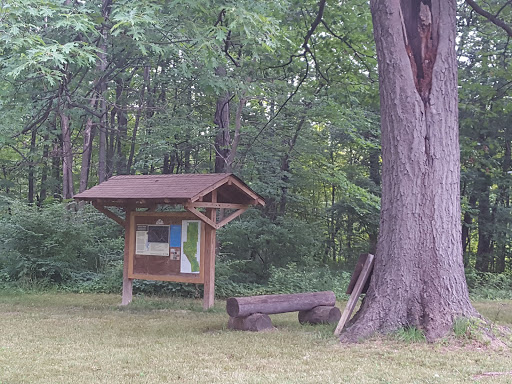 Park «Rouge Park», reviews and photos, Joy Rd, Detroit, MI 48228, USA