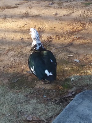 Newton County Turner Lake Park - photo 19