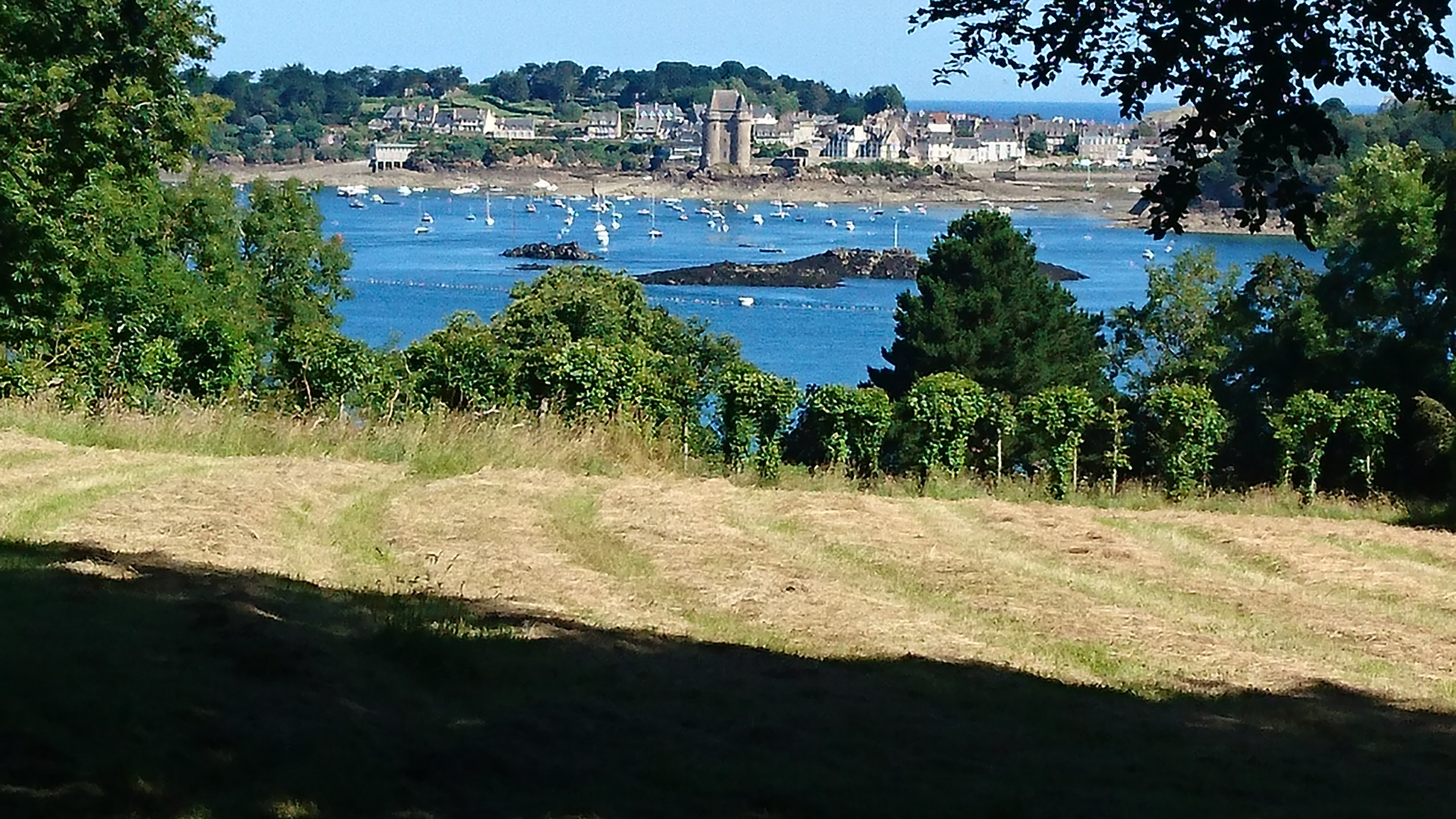 Photo n° 1 de l'avis de Patrice.s fait le 30/06/2018 à 16:46