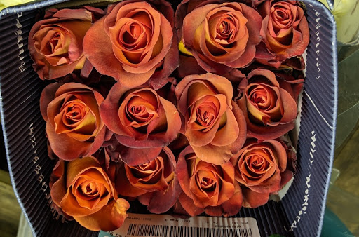 Florist «Dillon Floral Corporation», reviews and photos, 933 Columbia Blvd, Bloomsburg, PA 17815, USA