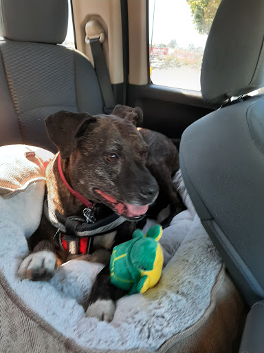 Pet Supply Store «PetSmart», reviews and photos, 351 N Frontage Rd, New London, CT 06320, USA