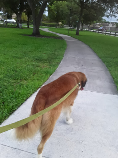 Park «Concord Park», reviews and photos, 3301 SW 114th Ave, Miami, FL 33165, USA