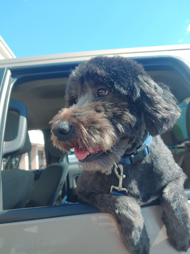 Pet Supply Store «The Dog House», reviews and photos, 4237 S Alameda St, Corpus Christi, TX 78412, USA