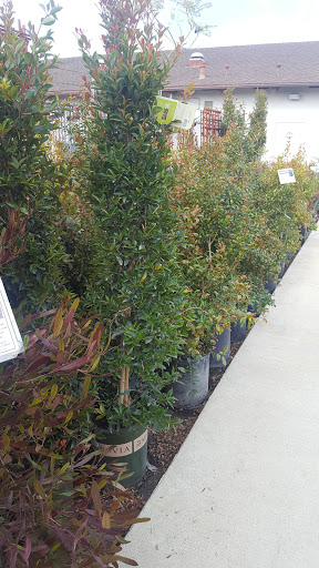 Gift Shop «Blue Hills Nursery & Gift Shop», reviews and photos, 16440 Whittier Blvd, Whittier, CA 90603, USA