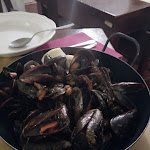 Photo n°5 de l'avis de Antonio.a fait le 06/01/2018 à 15:31 sur le  A Topia da Diego à Verezzi