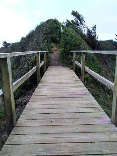 Tourist Attraction «Haystack Rock», reviews and photos, US-101, Cannon Beach, OR 97110, USA