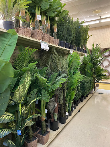 Home Goods Store «Trees n Trends - Bowling Green, KY», reviews and photos, 1555 Campbell Ln, Bowling Green, KY 42104, USA