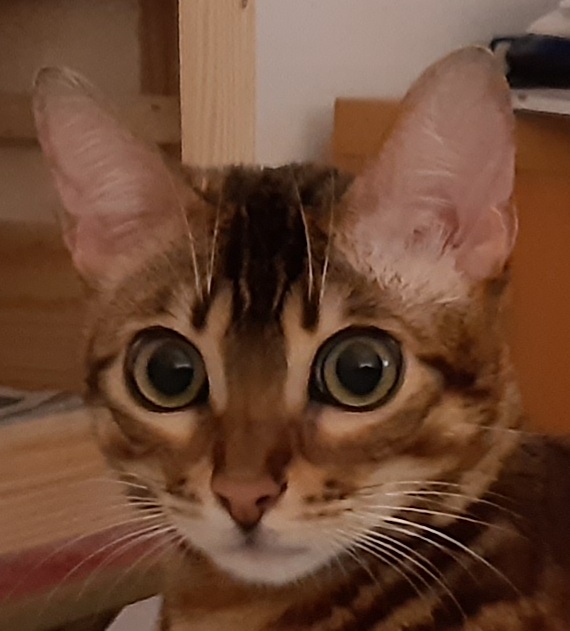 Photo n° 1 de l'avis de Christophe.c fait le 16/02/2020 à 04:35
