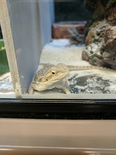 Pet Supply Store «Petco Animal Supplies», reviews and photos, 377 W Jackson St #11, Cookeville, TN 38501, USA