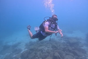 Nemo Diving Center Fujairah image