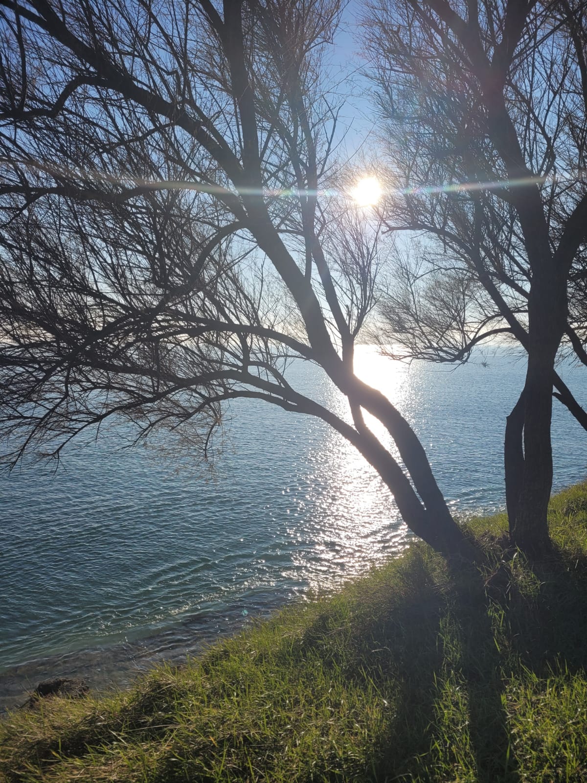 Photo n° 2 de l'avis de Sandrine.a fait le 15/01/2022 à 17:33