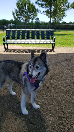 Pet Supply Store «Petco Animal Supplies», reviews and photos, 4665 Garth Rd #400, Baytown, TX 77521, USA