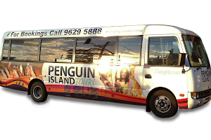Penguin Island Tours image