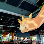 Photo n°7 de l'avis de MARGARIDA.E fait le 11/05/2024 à 21:24 sur le  Praia no Parque à Lisbon