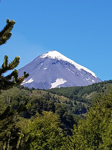 La Fortunata