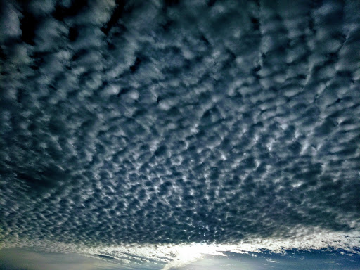 Concrete Contractor «Suntec Concrete», reviews and photos, 2221 W Shangri La Rd, Phoenix, AZ 85029, USA