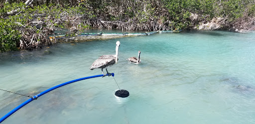 Aquarium «Florida Keys Aquarium Encounters», reviews and photos, 11710 Overseas Hwy, Marathon, FL 33050, USA