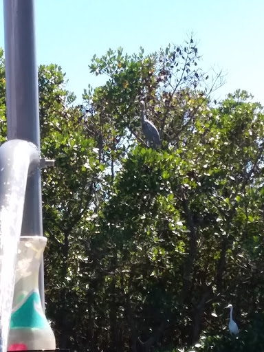 Fishing Charter «Ponce Inlet Water Sports», reviews and photos, 4936 S Peninsula Dr, Ponce Inlet, FL 32127, USA