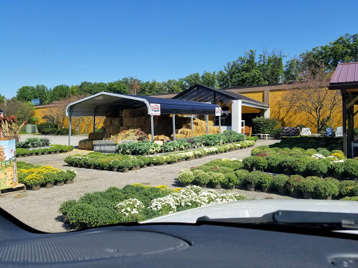 Thrift Store «Thrift Town Treasures», reviews and photos, 5130 Youngstown Warren Rd, Warren, OH 44484, USA