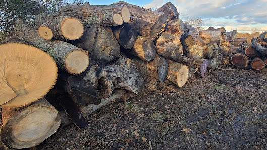 SlabCentral Sawmill 1450 Lockhart Rd, Innisfil Beach, ON L9S 3G8, Canada