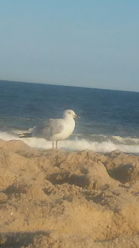 Night Club «Jenks Club», reviews and photos, 300 Ocean Ave, Point Pleasant Beach, NJ 08742, USA