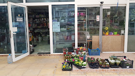 Магазин за цветя и подаръци "ГАЛЕНИКА"