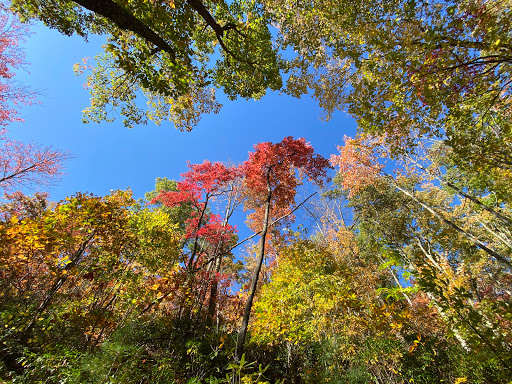 National Park «Great Smoky Mountains National Park», reviews and photos