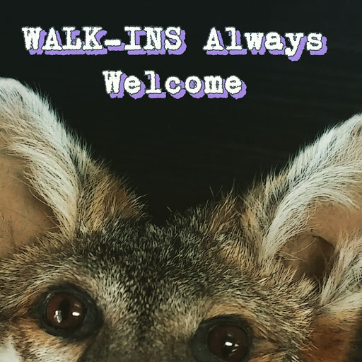 Tattoo Shop «Fox Tattoo Parlor & Gallery», reviews and photos, 3045-B SE 3rd Ave, Ocala, FL 34471, USA