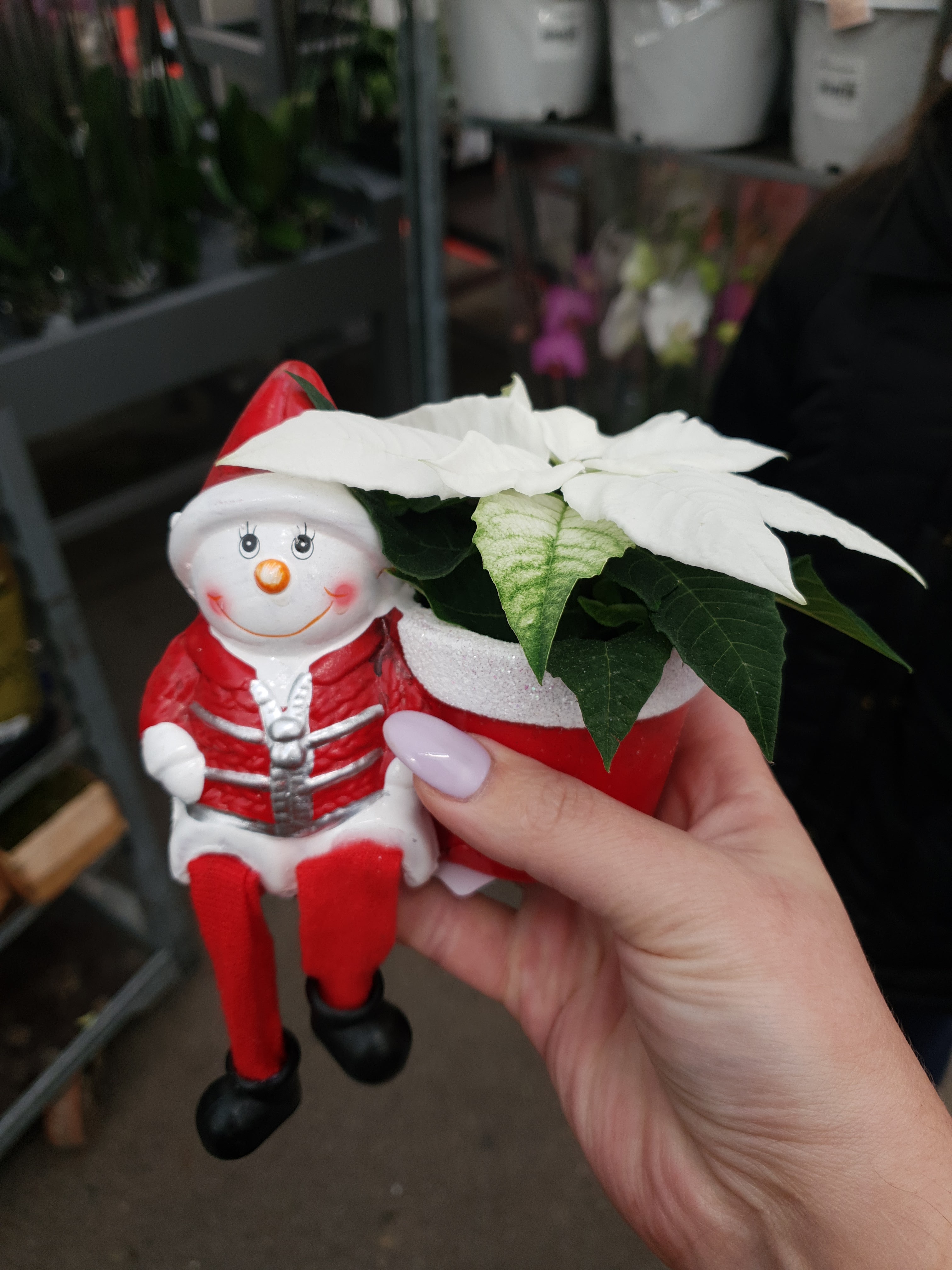 Photo n° 6 de l'avis de Anna.g fait le 11/12/2019 à 12:48